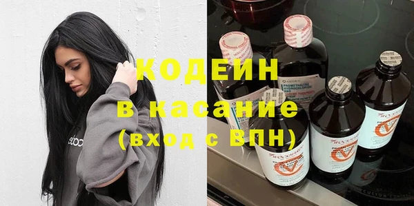 шишки Верея